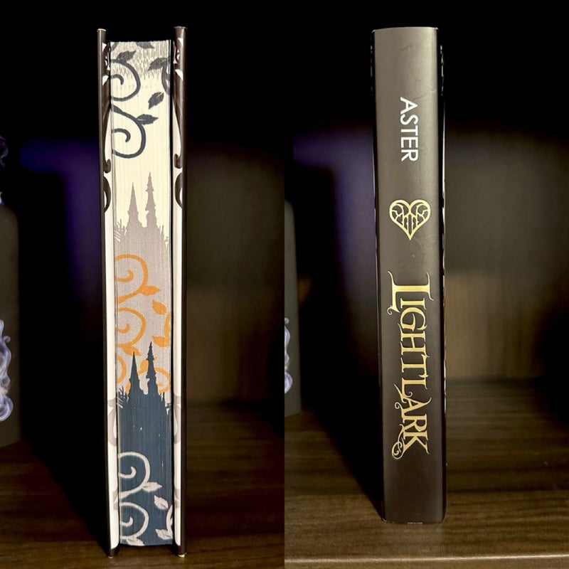 Lightlark Bookish Box
