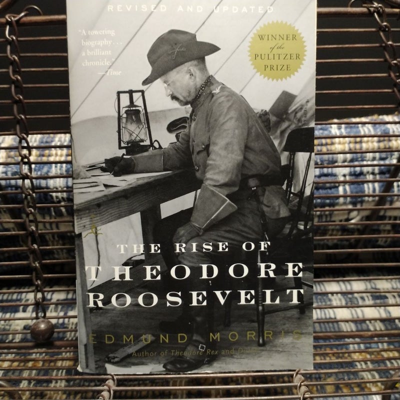 The Rise of Theodore Roosevelt