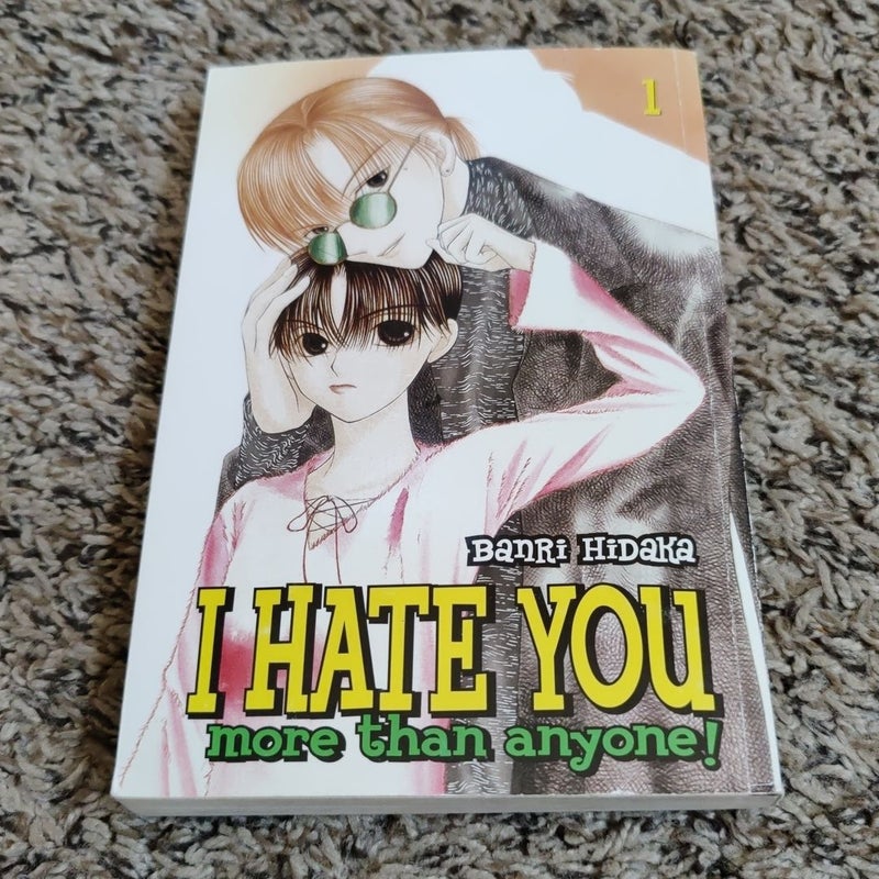 I Hate You More Than Anyone