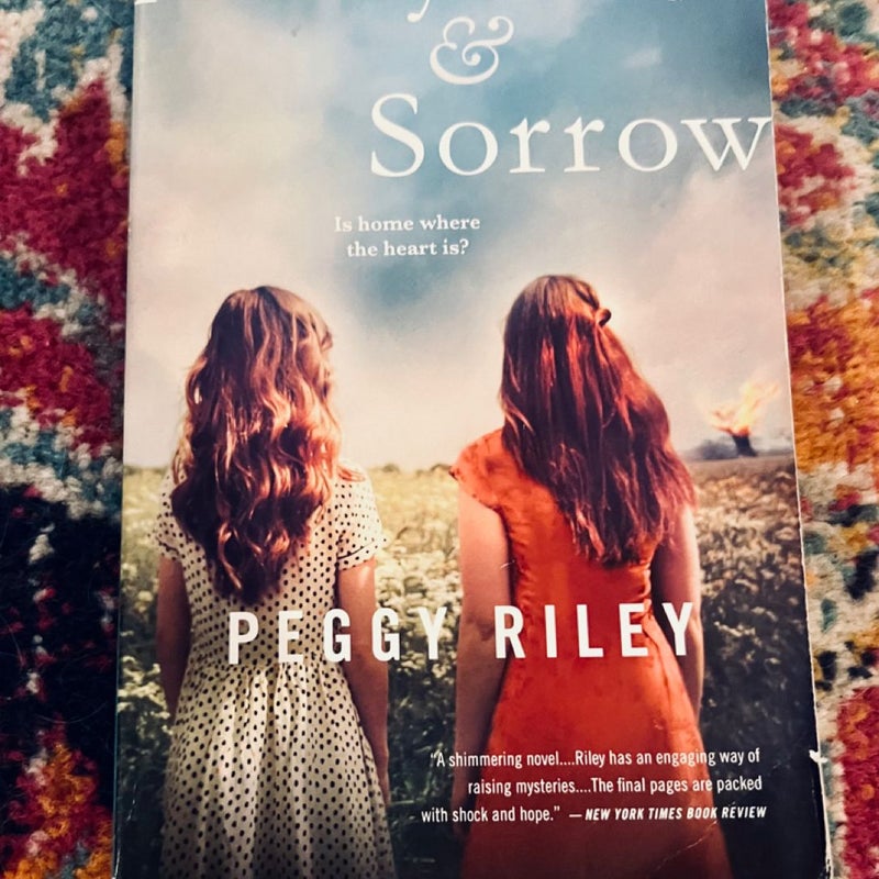 Amity and Sorrow : A Novel by Peggy Riley (2014, Trade Paperback)