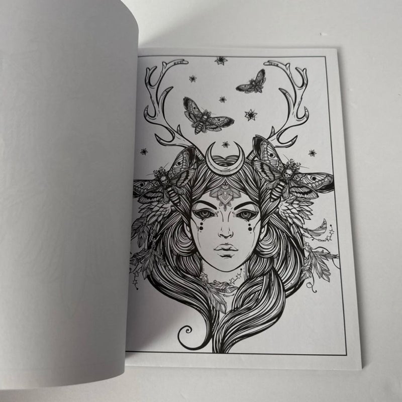 Just Add Ink Adult Tattoo Coloring Book