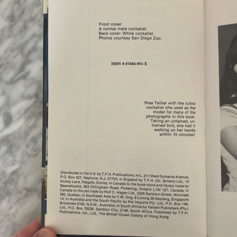 Taming and Training Cockatiels