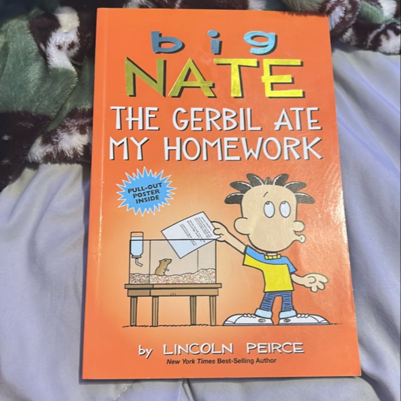 Big Nate: the Gerbil Ate My Homework