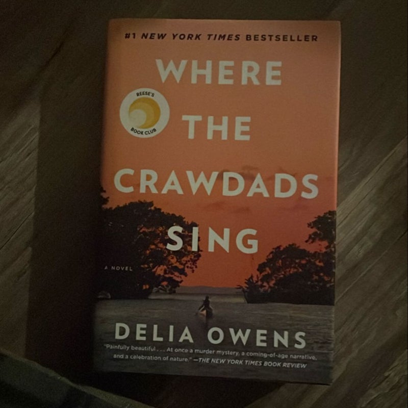 Where the Crawdads Sing