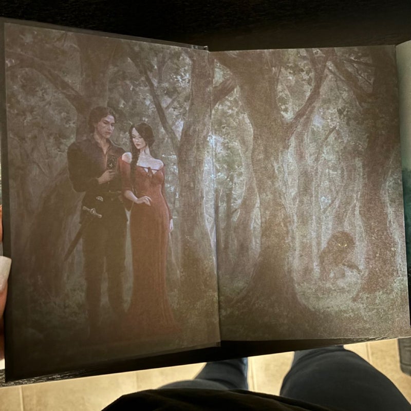 Fairyloot special edition of the The Shepherd King duology.