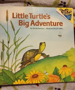 Little Turtle's Big Adventure 