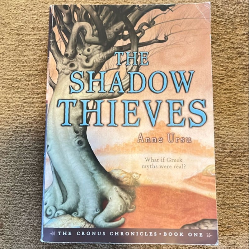 The Shadow Theives