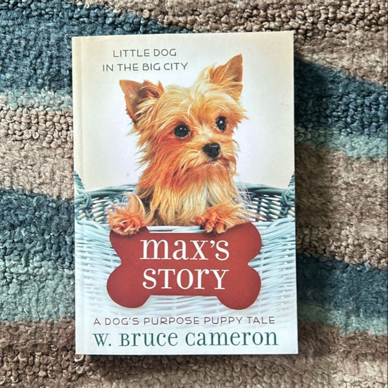 Max’s Story