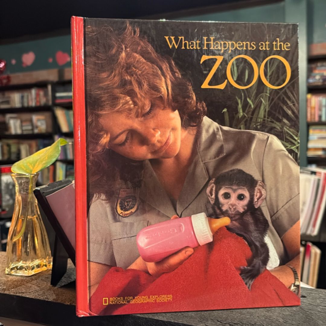 What happens at the zoo