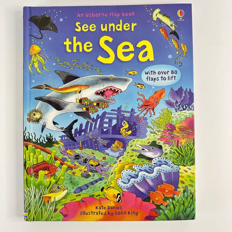 Usborne Flap Book-See Under the Sea