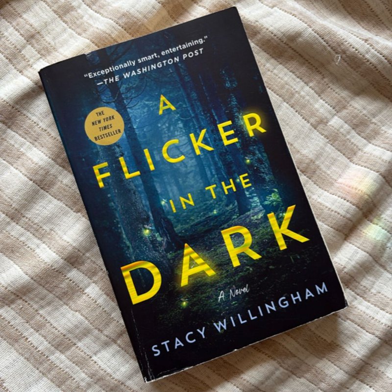 A Flicker in the Dark by stacy Willingham, Paperback | Pangobooks