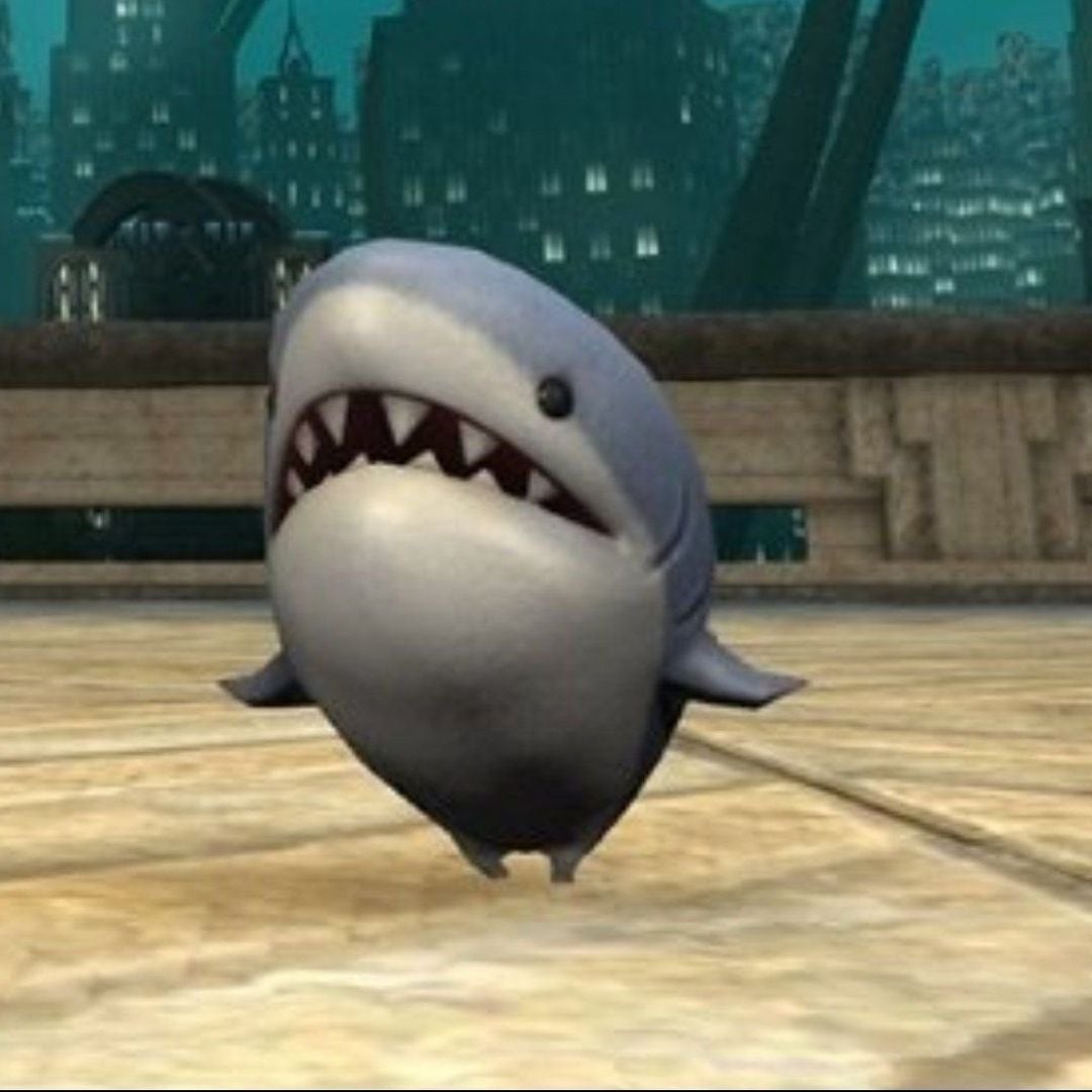SharksRead