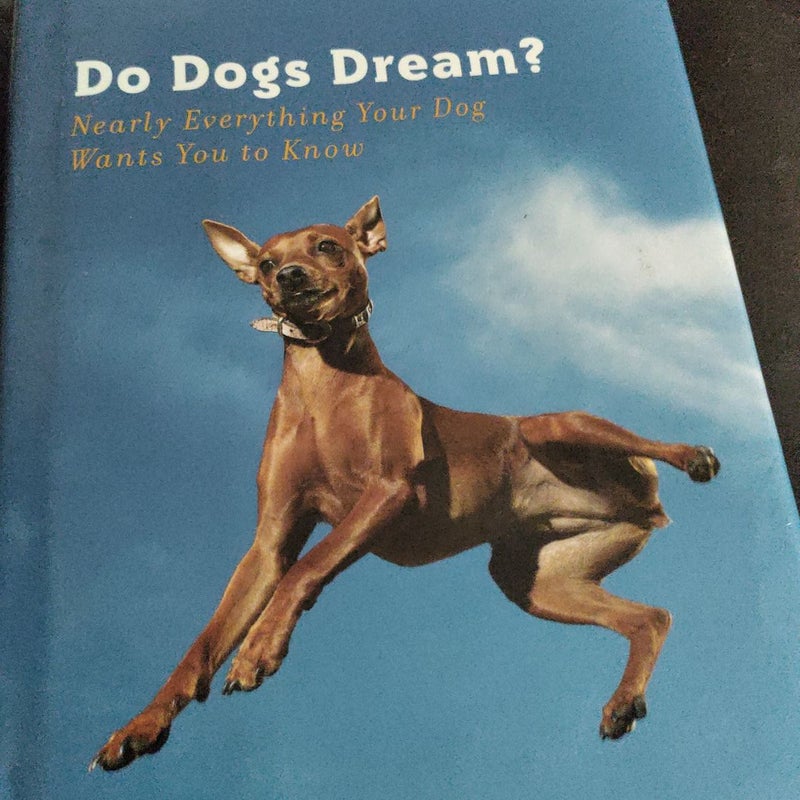 Do Dogs Dream? Nearly Everything Your Dog Wants You To Know 