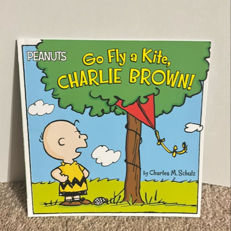 Go Fly a Kite, Charlie Brown!