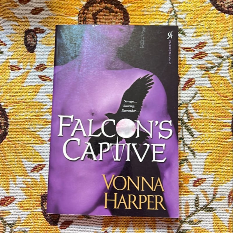 Falcon's Captive