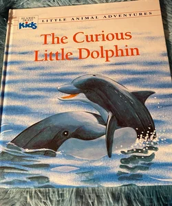 The Curious Little Dolphin