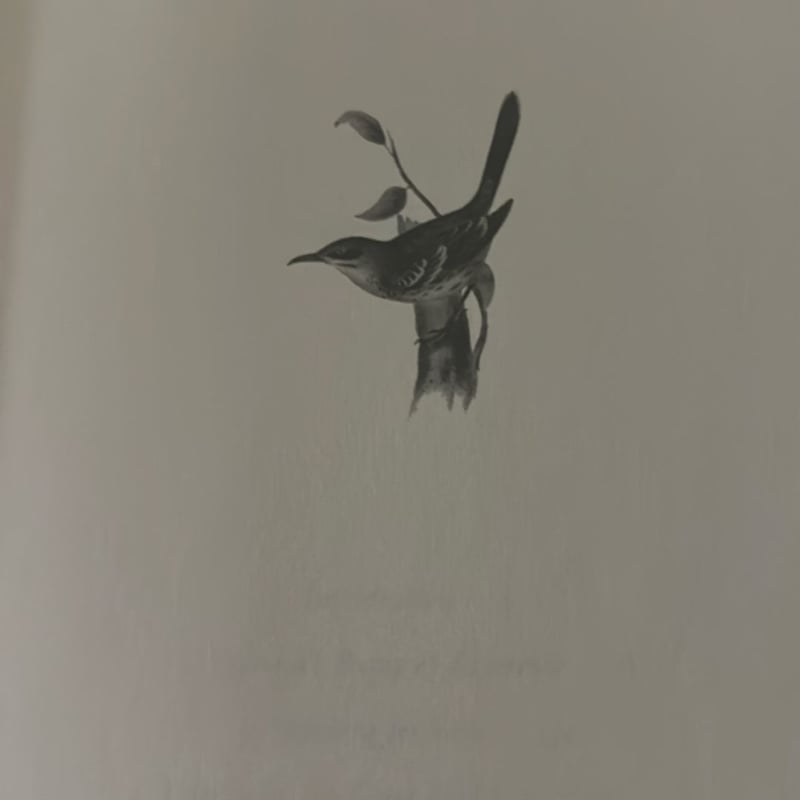 Pilgrim on the Great Bird Continent