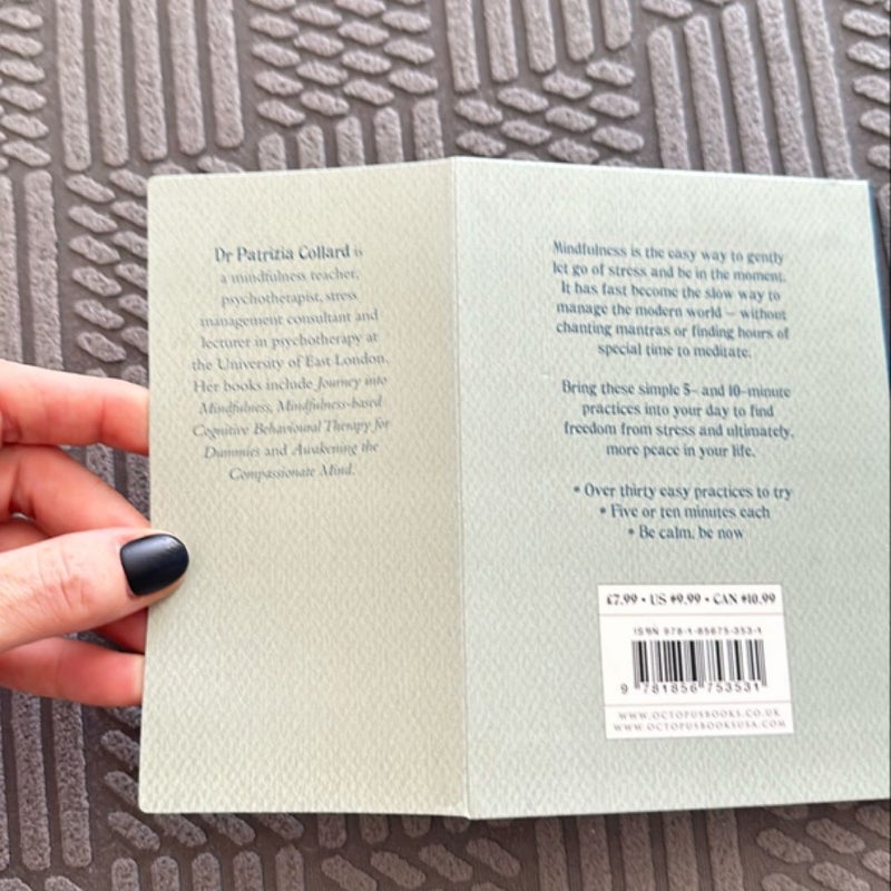 Little Book of Mindfulness