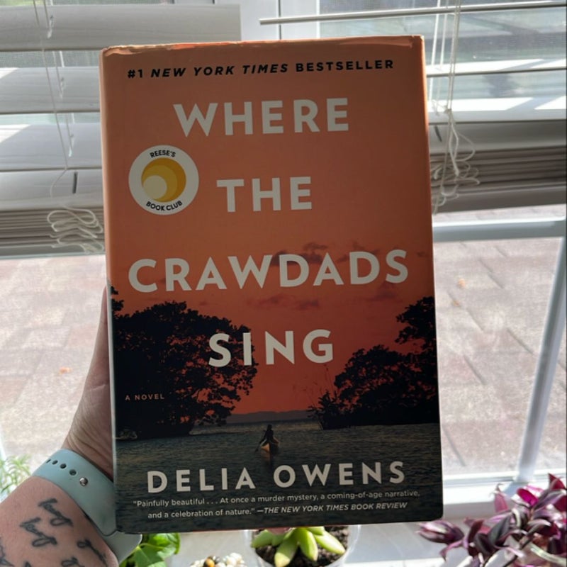 Where the Crawdads Sing