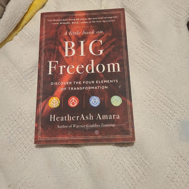 A Little Book on Big Freedom