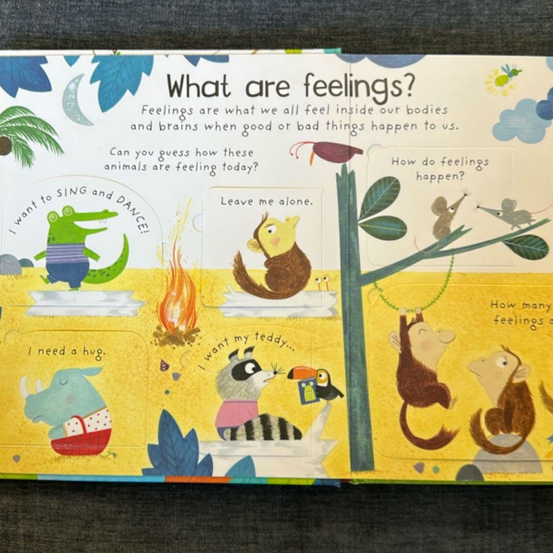 Lift-The-Flap First Questions and Answers What Are Feelings?