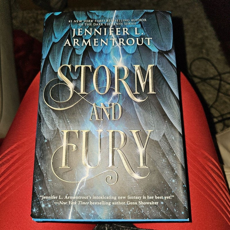 Storm and Fury