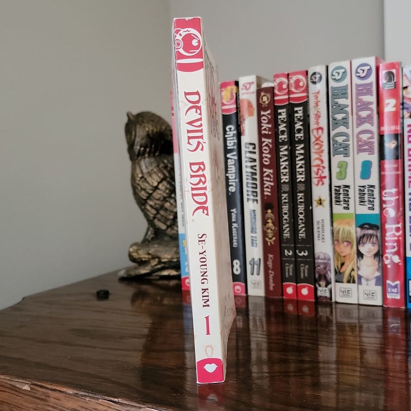 Devil's Bride, Vol 1