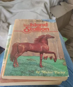 The lsland stallion 