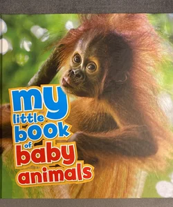 My Little Book of Baby Animals