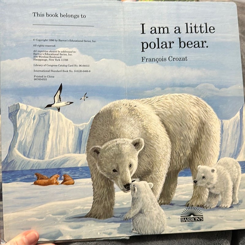 I Am a Little Polar Bear