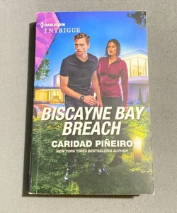 Biscayne Bay Breach