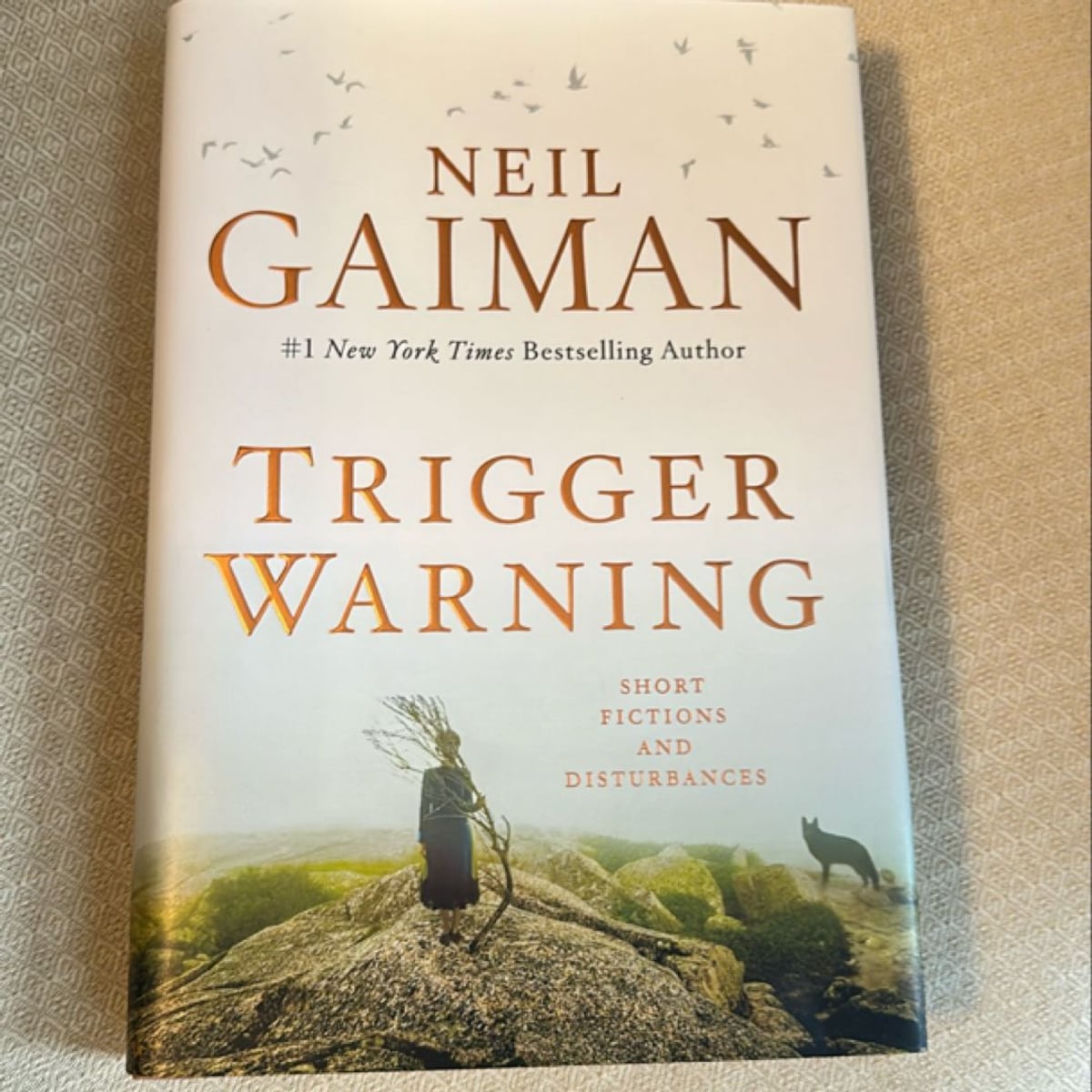 Trigger Warning by Neil Gaiman