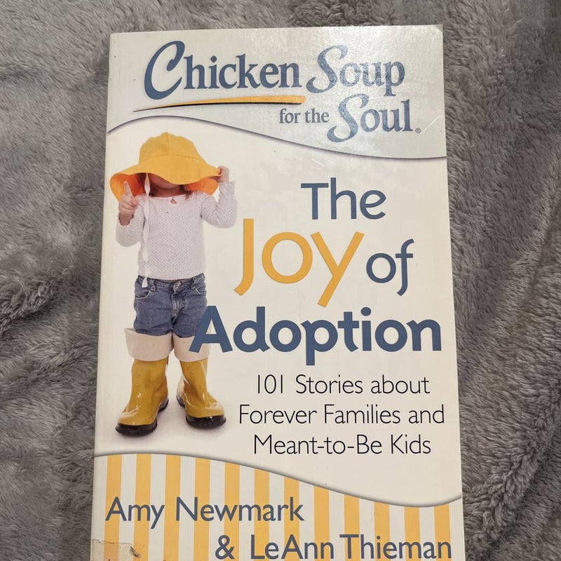 Chicken Soup for the Soul: the Joy of Adoption