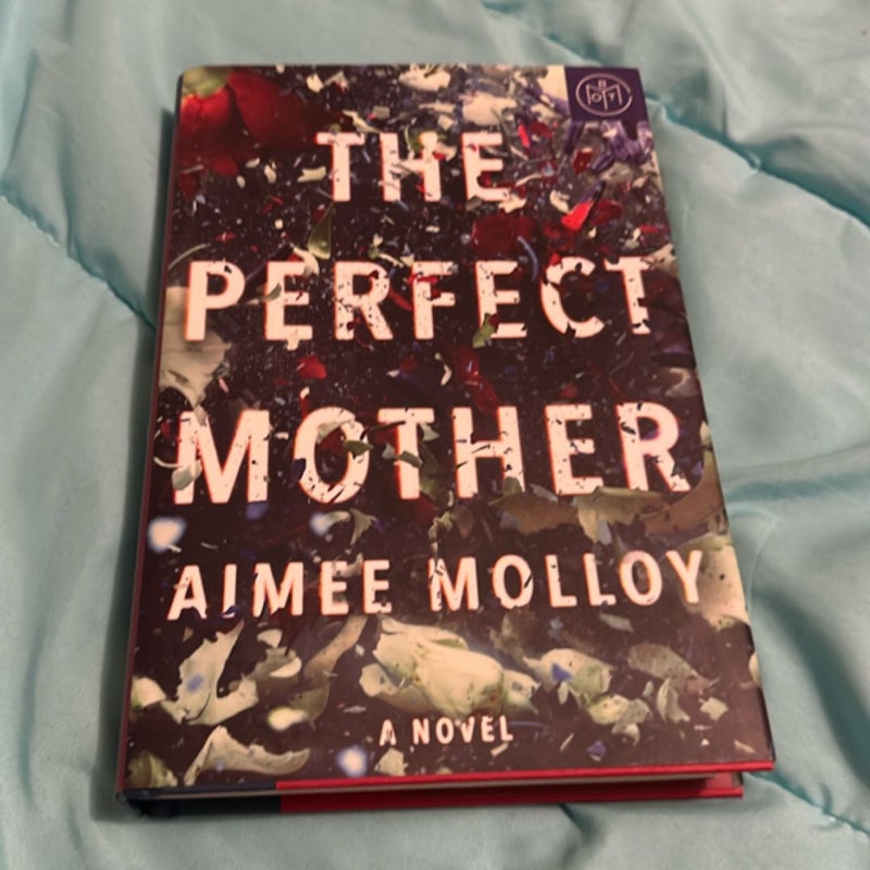 The Perfect Mother
