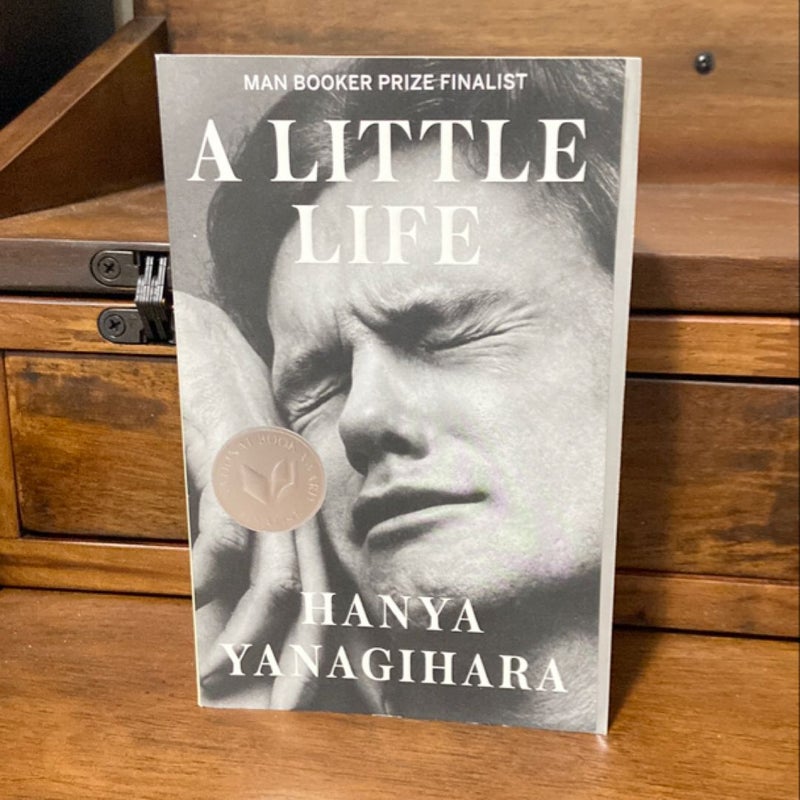 A Little Life