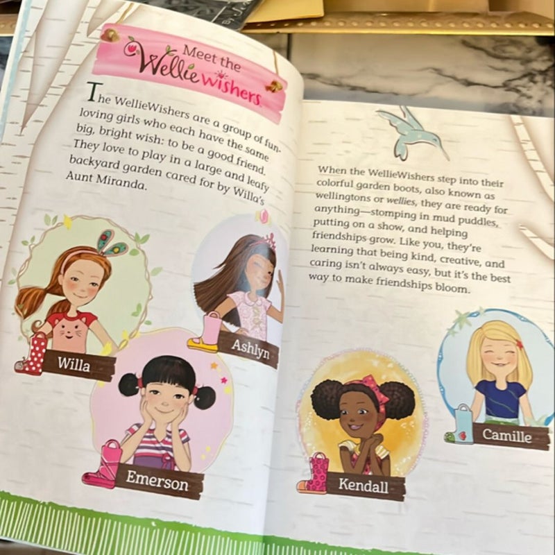 Wellewisher American Girl bundle 