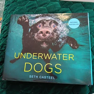 Underwater Dogs