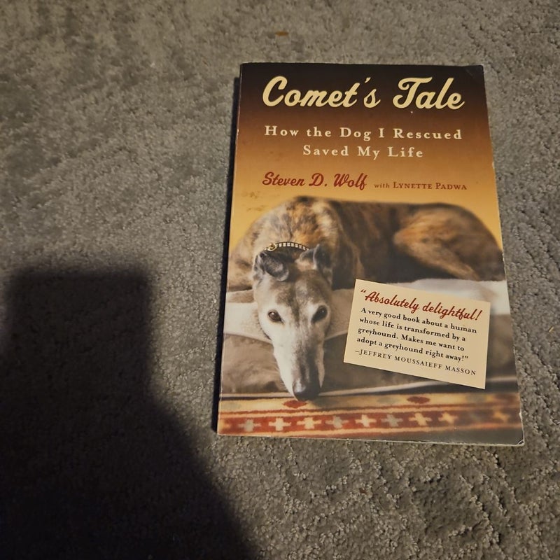 Comet's Tale