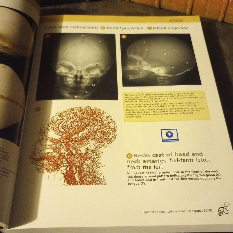 McMinn and Abrahams' Clinical Atlas of Human Anatomy