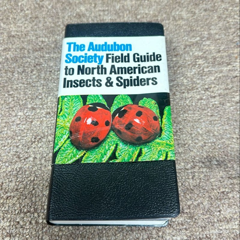 National Audubon Society Field Guide to Insects and Spiders