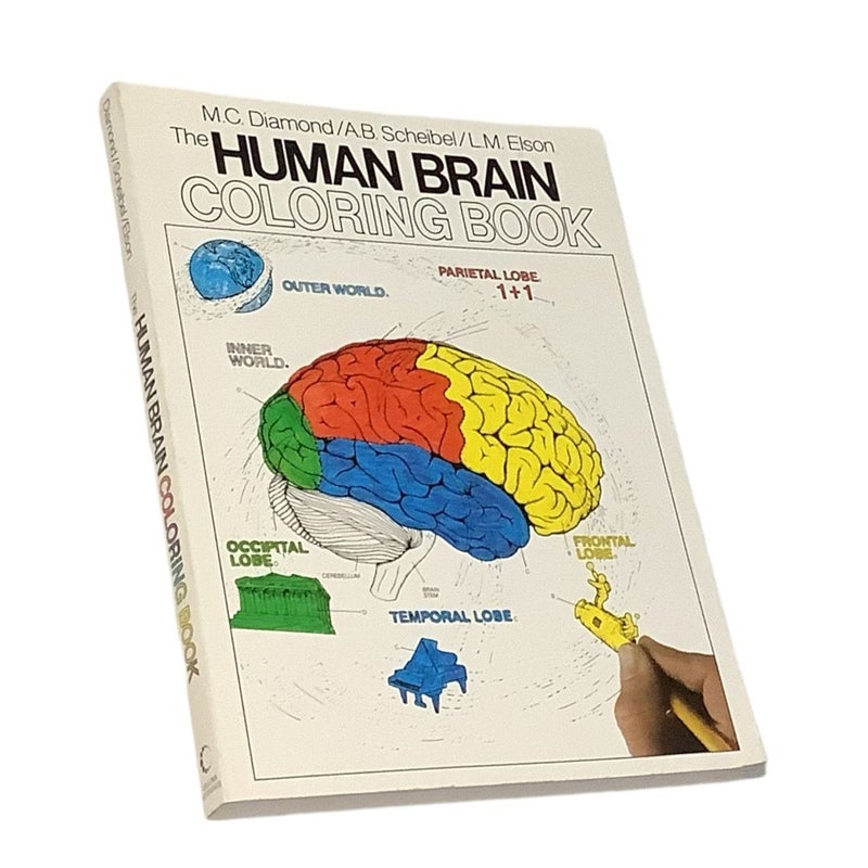 The Human Brain Coloring Book