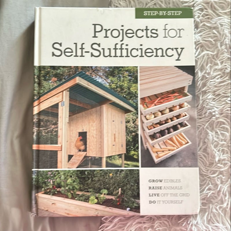 Projects for self sufficiency 