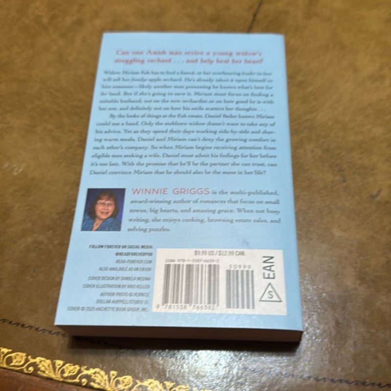 An Amish Widow's Promise