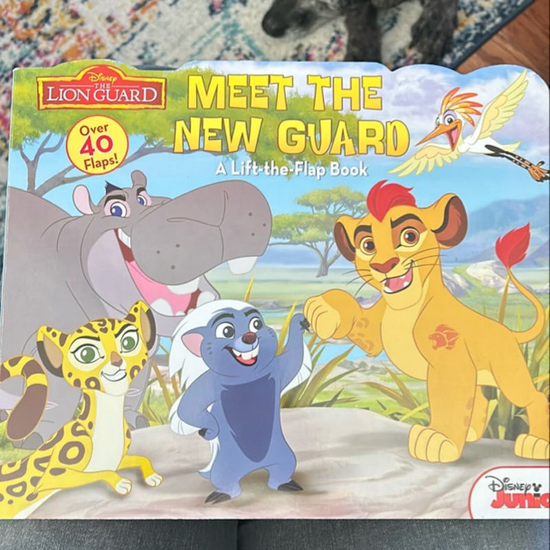 Lion Guard, the Meet the New Guard