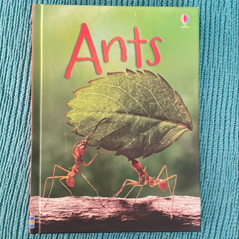 Ants