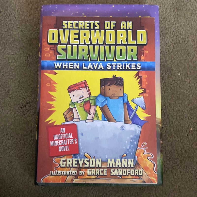 Secrets of an Overworld Survivor