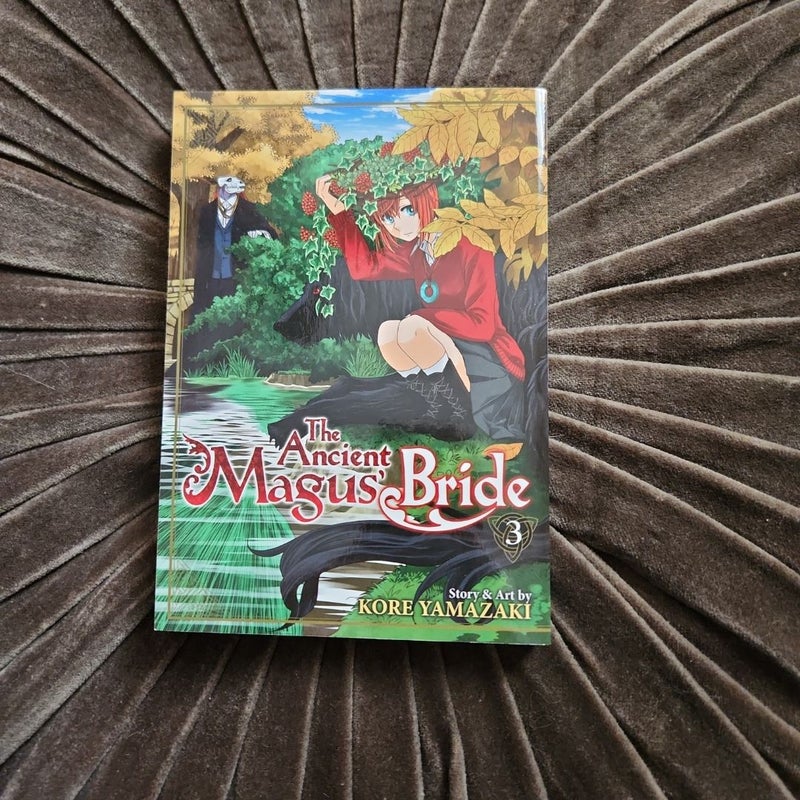 The Ancient Magus' Bride Vol. 3