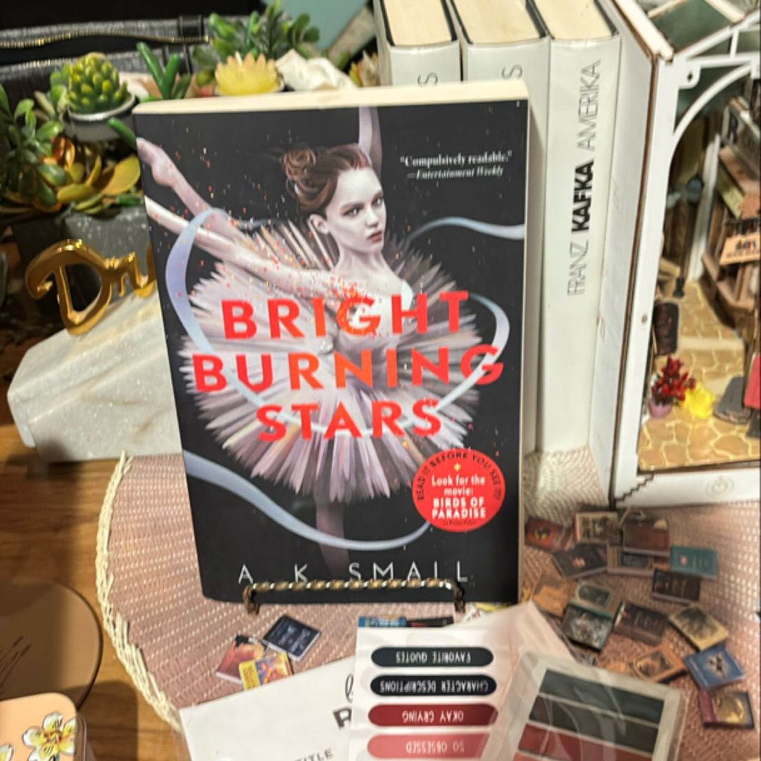 Bright Burning Stars