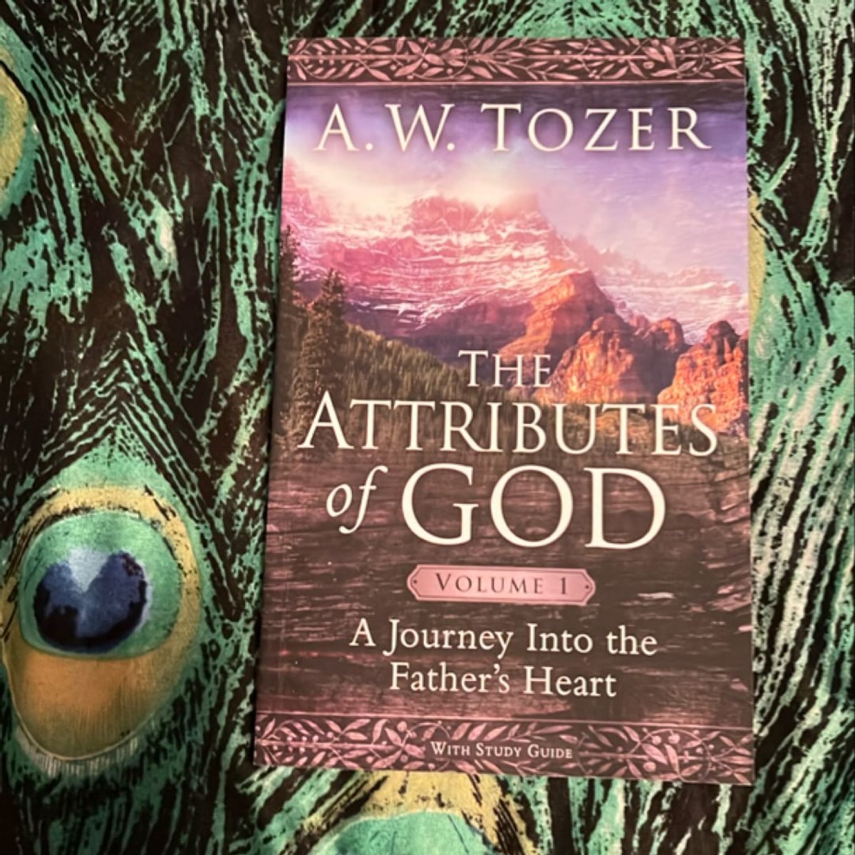 The Attributes of God by A. W. Tozer, David Fessenden