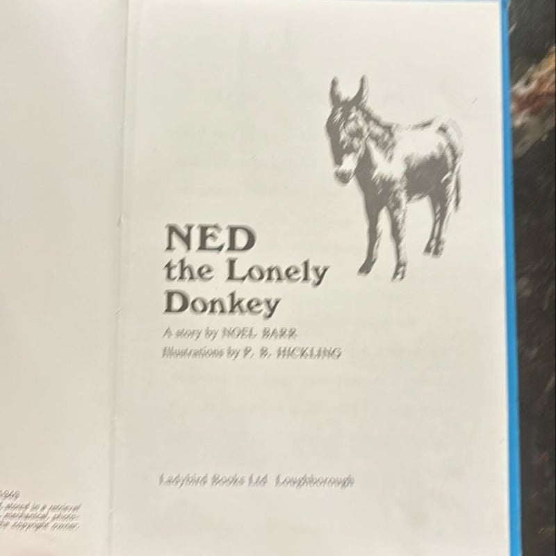 Ned the Lonely Donkey